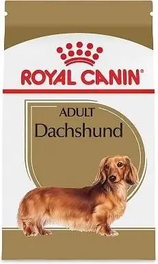 Royal Canin Dackel Erwachsener