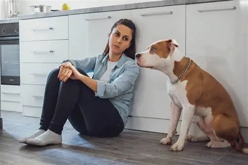 smutná žena a pitbull