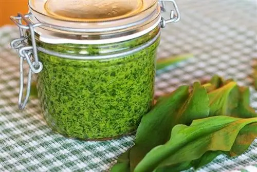 pesto buatan sendiri dalam bekas kaca