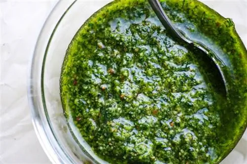 Kan honde pesto eet? Veearts Beoordeel feite & Gereelde vrae