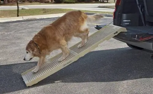 Dogsaholic - DIY Dog Ramp