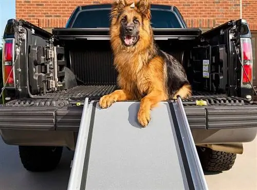 10 meilleures rampes pour chiens pour camions & voitures - 2023 avis & meilleurs choix