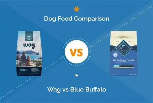 Wag Dog Food vs Blue Buffalo: 2023 การเปรียบเทียบ