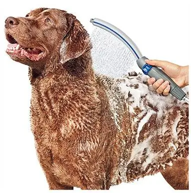 Accessorio per doccia per cani Waterpik Pet Wand Pro