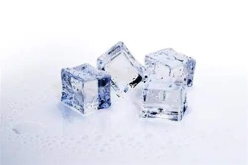 Cubos de hielo