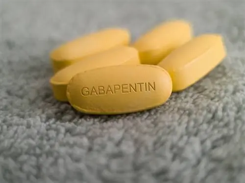 Pastile de Gabapentin