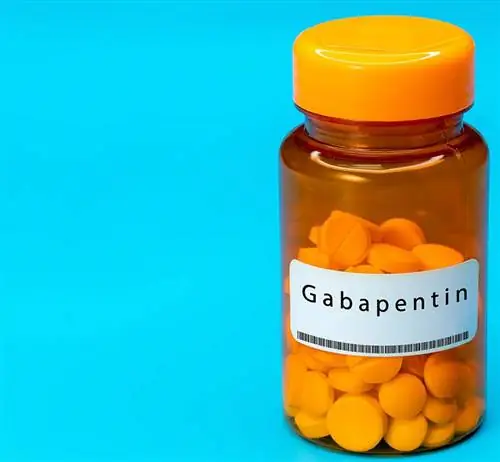 gabapentin sa orange na bote ng plastik