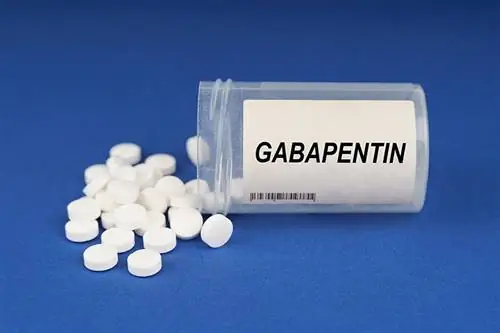 Gabapentine pour chiens : utilisations, dosage & Effets secondaires (réponse vétérinaire)