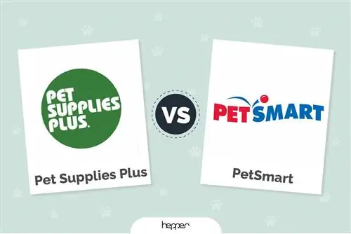 Pet Supplies Plus u odnosu na PetSmart: Koja je trgovina za kućne ljubimce bolja u 2023.?