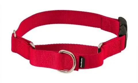 Κολάρο σκύλου Martingale Quick Snap PetSafe Premier