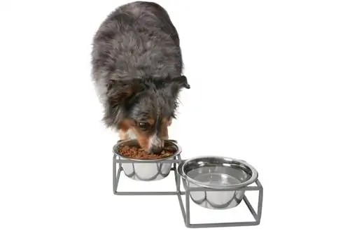 Frisco Diamond Dog & Cat Double Bowl Diner