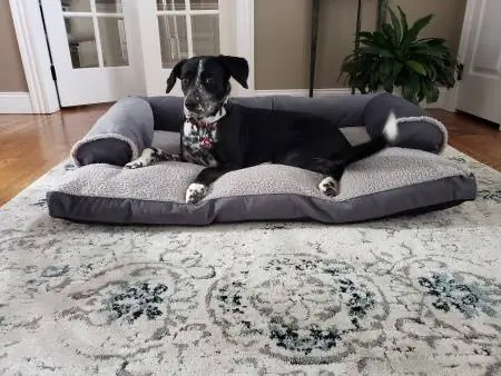 Dog Bed King USA Sofa-Style Lounger Cat & Dog Bed