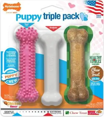 Nylabone Puppy Chew Κοτόπουλο, αρνί & μήλο με γεύση Puppy Chew Toy