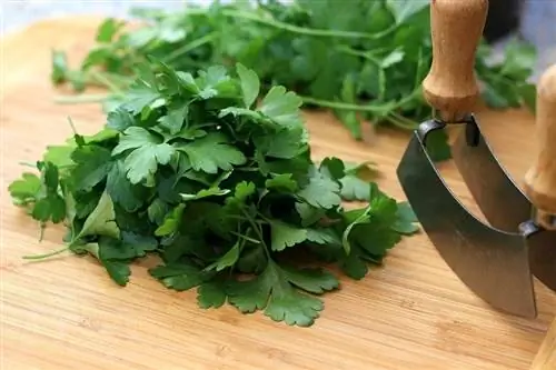 parsley