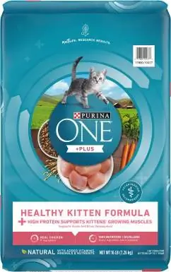 Purina ONE He althy Kitten Formula Dry Food για γάτες