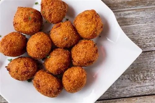 Cov dev puas noj tau Hush Puppies? Vet Reviewed Nutrition Facts & Cov Lus Qhia