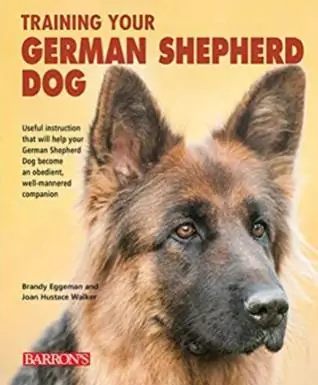 Formation de votre chien de berger allemand