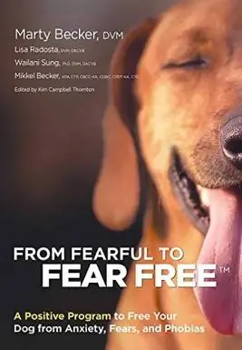 Od Fearful to Fear Free