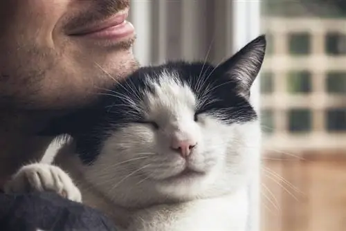 chat câliné par un homme barbu