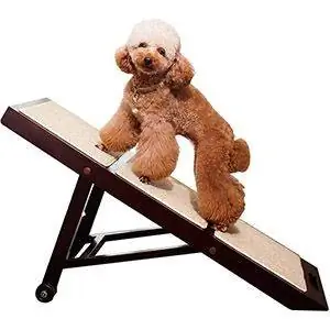 Merry-Products-Collapsible-Dog-Ramp-j.webp