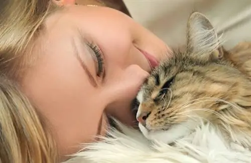 linda mujer joven con gato en el cabello