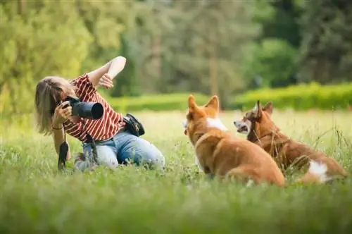 Wie viel verdient ein Tierfotograf im Jahr 2023? Tipps für den Einstieg & FAQ