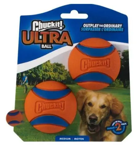 Chuckit! bola de cachorro resistente