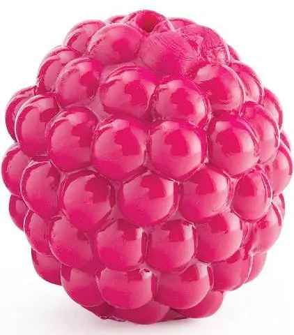 Planet Dog Orbee-Tuff Raspberry Chew Toy