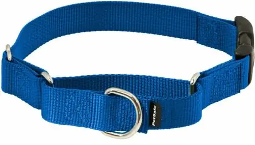 PetSafe Quick Snap Buckle Nylon Martingale Hondehalsband