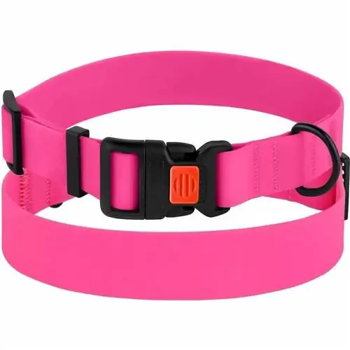 CollarDirect Wasserdichtes Hundehalsband mit PVC-Beschichtung