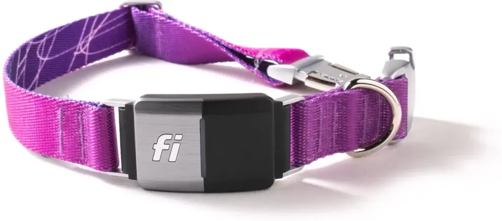 Collar de perro inteligente con rastreador GPS Fi Series 2