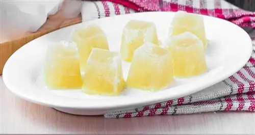 caldo de verduras de pollo congelado casero cubitos de hielo en un plato