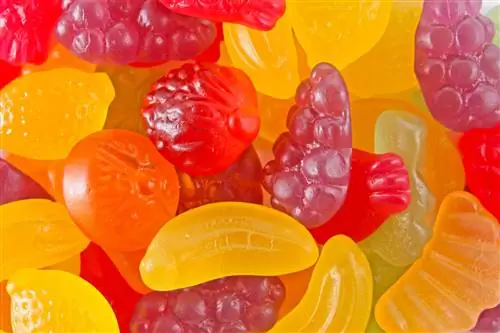 Gummy fruitsnoepjes, fruitsnacks