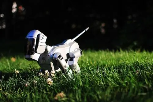 AIBO ERS-111