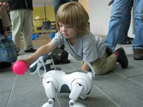 Gossos robot: tot el que necessites saber