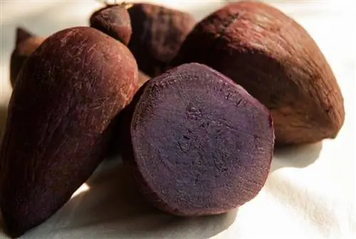 fialový yam (ube)