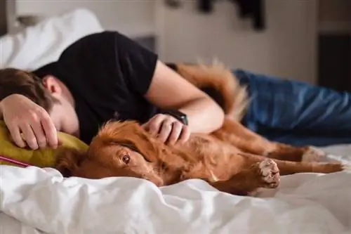 perro tendido cerca de un hombre dormido