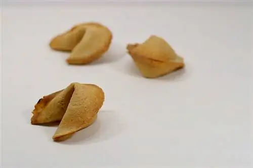 tatlong piraso ng fortune cookies