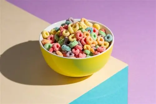 cereals en bol de colors