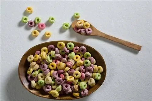 สุนัขกิน Froot Loops ได้ไหม? ข้อเท็จจริงที่ได้รับการอนุมัติจากสัตวแพทย์ & คำถามที่พบบ่อย