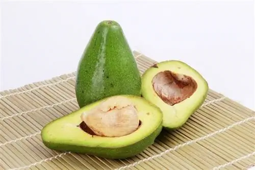 mga avocado