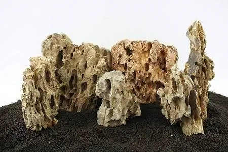 5Lifegard Aquatics 10G-Dragon Dragon Rock