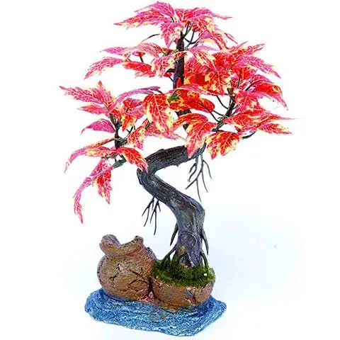 Décoration d'aquarium Penn-Plax Bonsai