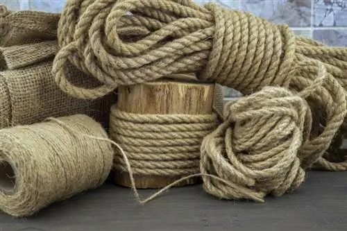 Миний муур тоглоход Jute Rope аюулгүй юу? Таны мэдэх ёстой бүх зүйл