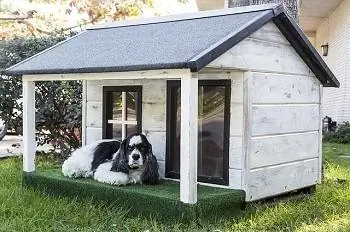 5 mejores casas para perros para clima cálido en 2023 – Reseñas & Mejores selecciones