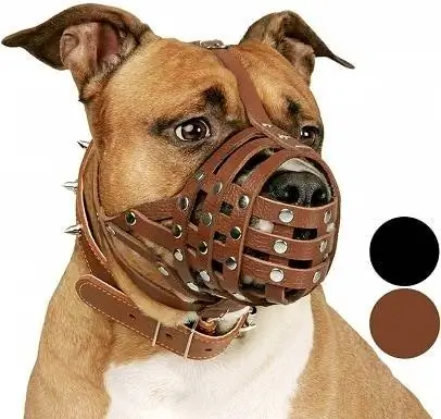 CollarDirect Pitbull Dog Muzzle