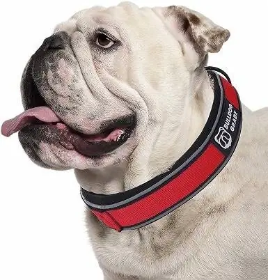 Bulldog darajasi