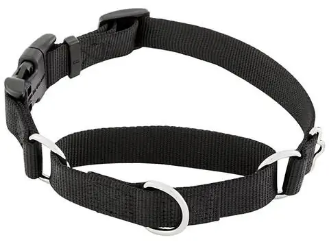 Collier pour chien martingale en nylon solide Frisco