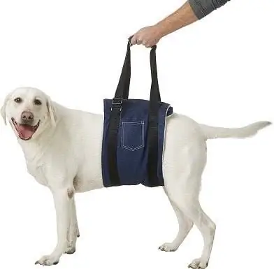 HandicappedPets Dog Support Sling