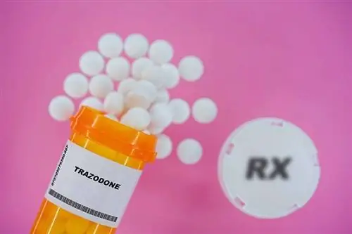 Trazodone Rx ravimite pillid